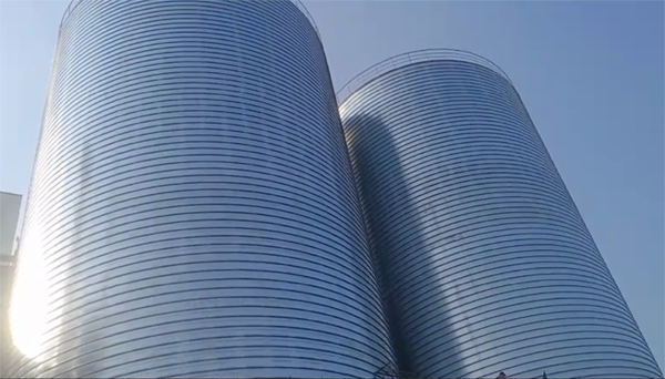 文安2座混凝土高架卷板仓